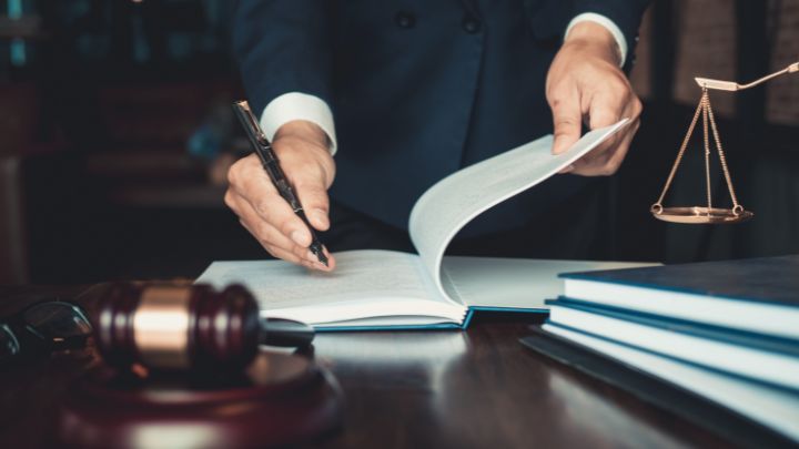 Litigation Services